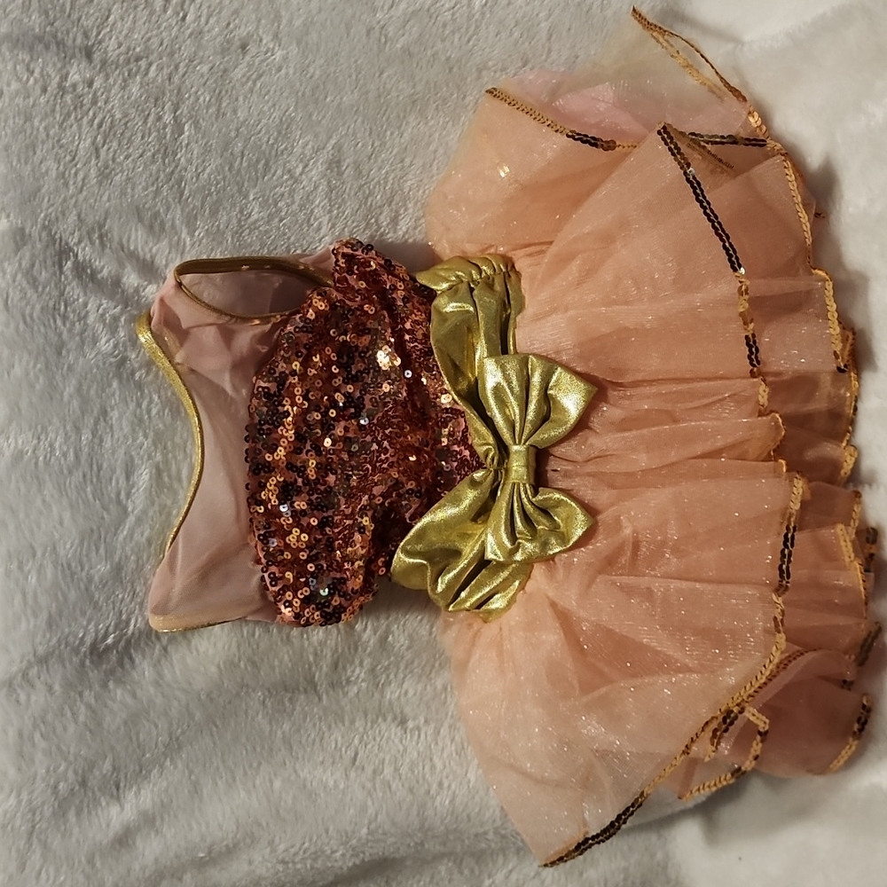 Dance recital costume